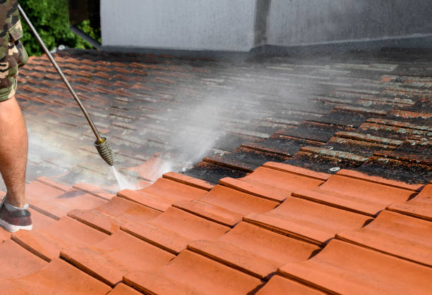 Best Concrete Pressure Washing  in , WA
