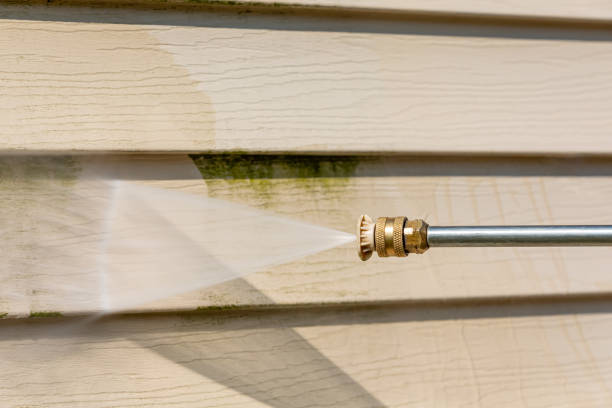 Best Roof Pressure Washing  in , WA