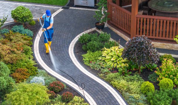 Best Local Pressure Washing Services  in , WA