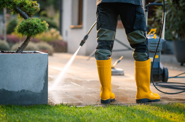 Best House Pressure Washing  in , WA
